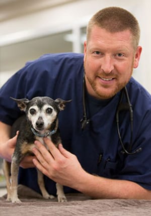 animal-emergency-specialty-center-veterinarian-brian-rutherford
